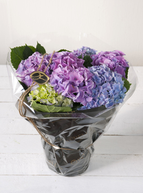 Gavepakket hortensia