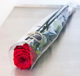 En gavepakket rød rose