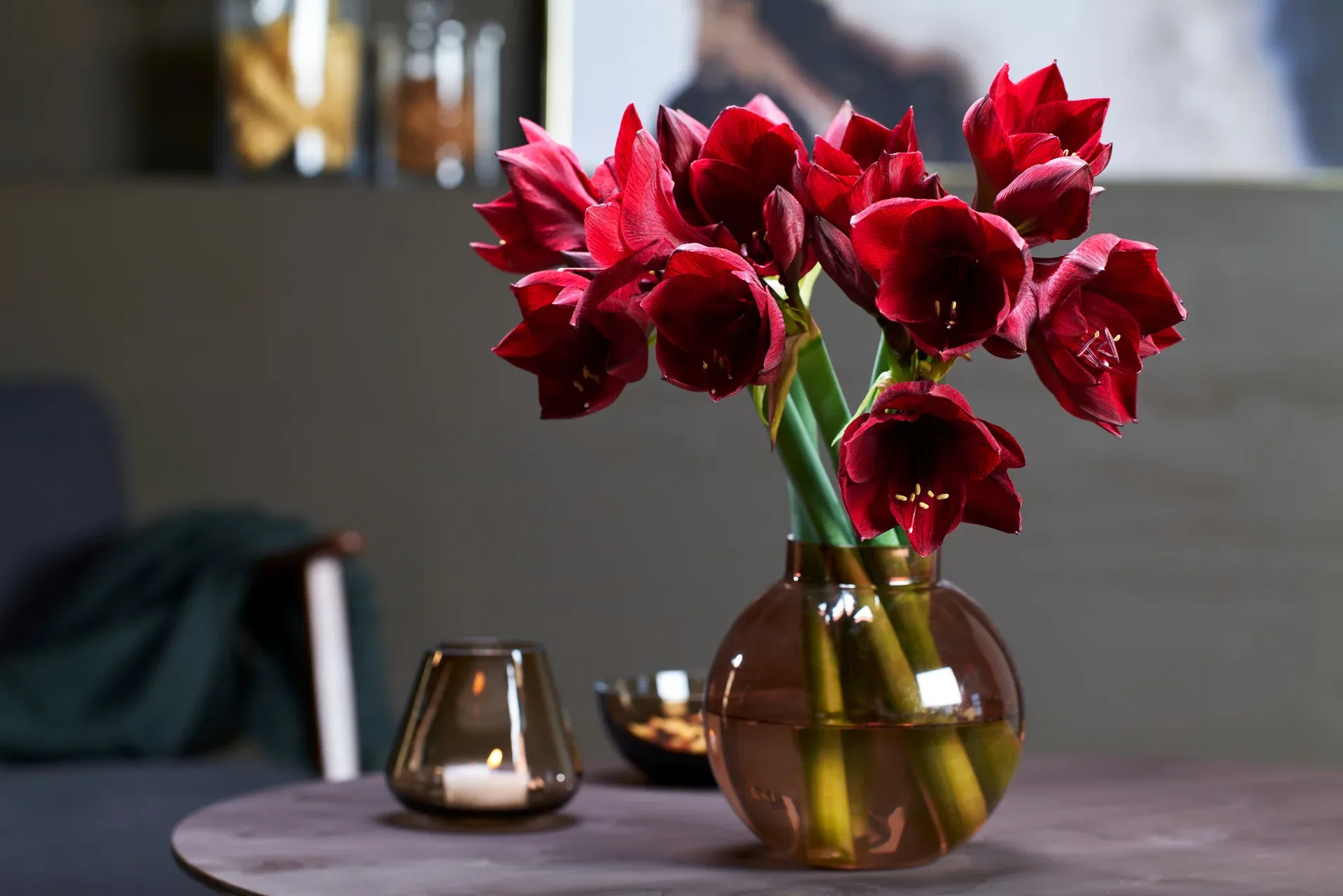Røde amaryllis i vase på bord